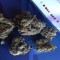 Skittles Marijuana Strain